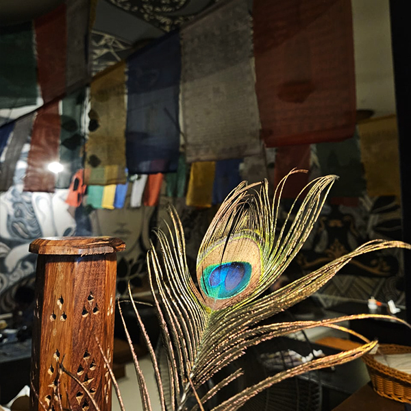 Interior 3